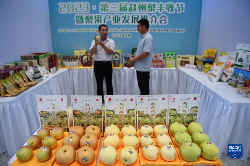 黄金集团登录网址
